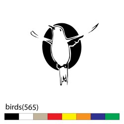 birds(565)