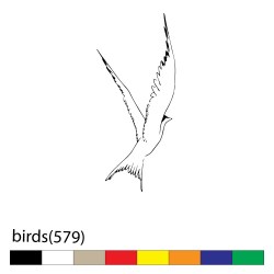 birds(579)