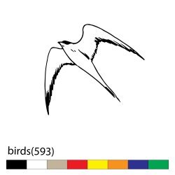 birds(593)