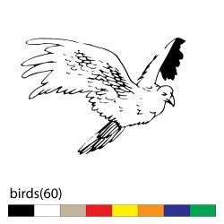 birds(60)
