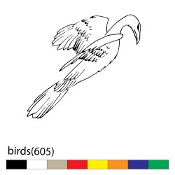 birds(605)1