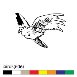 birds(606)2