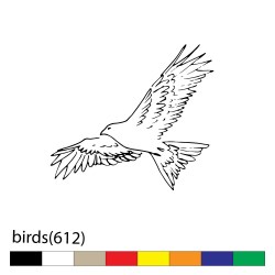birds(612)