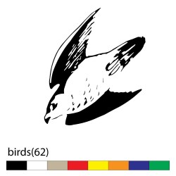 birds(62)
