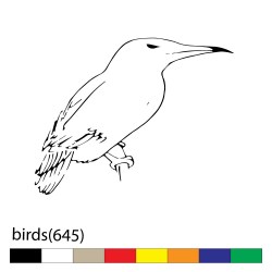 birds(645)
