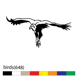 birds(648)