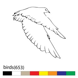 birds(653)