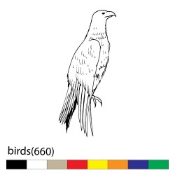 birds(660)