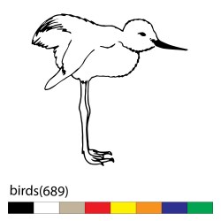 birds(689)
