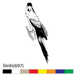 birds(697)
