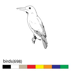 birds(698)