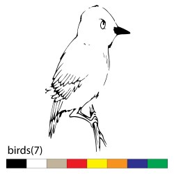 birds(7)