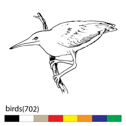 birds(702)