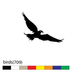 birds(709)