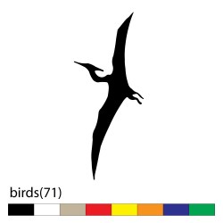 birds(71)