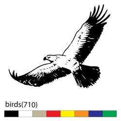 birds(710)