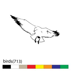 birds(713)