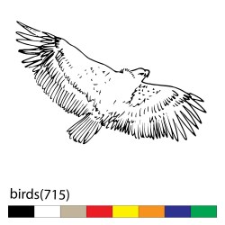birds(715)