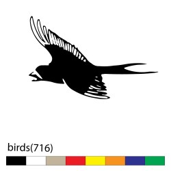birds(716)