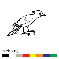birds(719)
