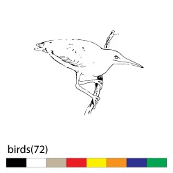 birds(72)