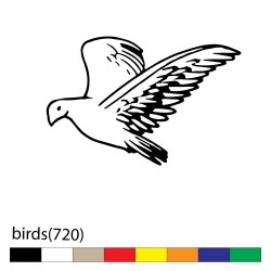 birds(720)