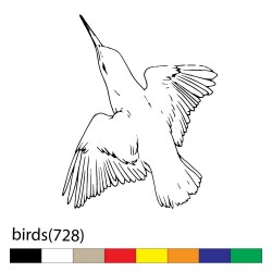 birds(728)