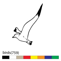 birds(759)