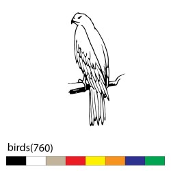 birds(760)