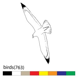 birds(763)