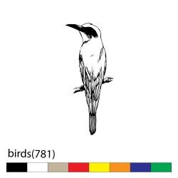 birds(781)