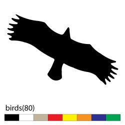 birds(80)