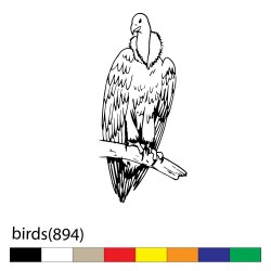 birds(894)