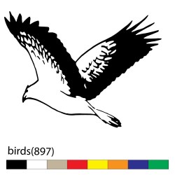 birds(897)