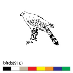 birds(916)