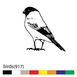 birds(917)