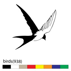 birds(938)